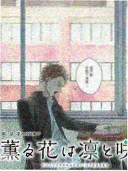 磁力猫搜索 现在就出发
